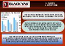 블랙야크(Black Yak) 마케팅전략분석/ 서론/아웃도어 시장현황/시장환경분석/스포츠 용품산업구조분석/자사분석/경쟁환경분석/광고분석/STP전략/ SWOT분석/4p분석 34페이지