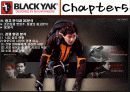 블랙야크(Black Yak) 마케팅전략분석/ 서론/아웃도어 시장현황/시장환경분석/스포츠 용품산업구조분석/자사분석/경쟁환경분석/광고분석/STP전략/ SWOT분석/4p분석 35페이지