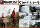 블랙야크(Black Yak) 마케팅전략분석/ 서론/아웃도어 시장현황/시장환경분석/스포츠 용품산업구조분석/자사분석/경쟁환경분석/광고분석/STP전략/ SWOT분석/4p분석 44페이지