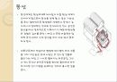 환기 미술관 13페이지