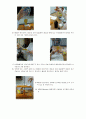 카페인의 추출과 분리 2페이지