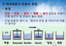 하수처리에 관하여 (Sewage treatment) 10페이지
