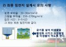 하수처리에 관하여 (Sewage treatment) 28페이지