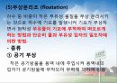 하수처리에 관하여 (Sewage treatment) 31페이지