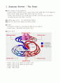 [A+자료] 인체생리학 심혈관계 (cardiovascular system) 3페이지
