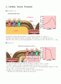 [A+자료] 인체생리학 심혈관계 (cardiovascular system) 10페이지