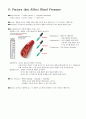 [A+자료] 인체생리학 심혈관계 (cardiovascular system) 11페이지