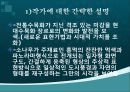 [미술] 문화와 예술 - 미술 작품의 작가와 해석 8페이지