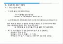 LED 표준화 사례 조사 13페이지