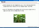 [항공산업론] 항공 산업과 환경 12페이지
