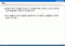 [항공산업론] 항공 산업과 환경 19페이지