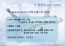 [관광학원론] 항공 운송산업의 현황과 한국 항공운송산업의 대응책 (Dong-A University Tourism Management) 17페이지