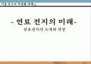 연료 전지의 미래 - 연료전지의 소개와 전망 1페이지