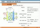 연료 전지의 미래 - 연료전지의 소개와 전망 7페이지
