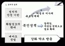 한국의 역사 - 세종대왕의 업적 5페이지