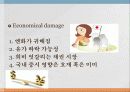 일본 후쿠시마원전 사고 (Fukushima Big Damage) 17페이지