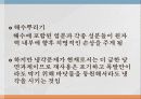 일본 후쿠시마원전 사고 (Fukushima Big Damage) 27페이지