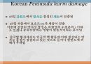 일본 후쿠시마원전 사고 (Fukushima Big Damage) 29페이지