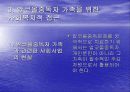 알코올 중독 26페이지