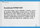 삼성, LG, 심비오틱 마케팅(Symbiotic Marketing) 성공사례,  성공요인, 성공전략, 경영전략, 전략, 변화, 특징, 사례, 관리, 역할, 기법, 시사점, 나아갈 방향, 조사분석 4페이지