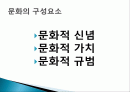 소비자 행동문화, 문화적 신념, 문화적 가치, 규범, 특징, 현황, 사례, 관리, 역할, 기법, 시사점, 나아갈 방향, 총체적 조사분석 2페이지