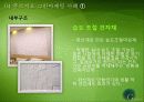대우 푸르지오의 그린 마케팅 성공사례,성공요인, 성공전략, 경영전략, 마케팅 전략, 변화, 특징, 현황, 사례, 마케팅 관리, 역할, 기법, 시사점, 나아갈 방향, 총체적 조사분석 10페이지