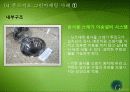 대우 푸르지오의 그린 마케팅 성공사례,성공요인, 성공전략, 경영전략, 마케팅 전략, 변화, 특징, 현황, 사례, 마케팅 관리, 역할, 기법, 시사점, 나아갈 방향, 총체적 조사분석 11페이지