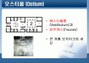 그리스/ 로마의 문화와 건축 -도무스(DOMUS)를 중심으로 22페이지