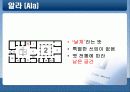 그리스/ 로마의 문화와 건축 -도무스(DOMUS)를 중심으로 23페이지