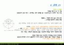 한국건축의 거주란 -시대별 도시공간을 중심으로 14페이지