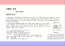 시대별 우리나라 도시공간과 경관 11페이지