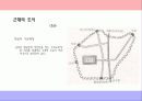 시대별 우리나라 도시공간과 경관 37페이지