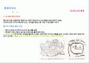 우리나라의 도시공간과 경관 28페이지