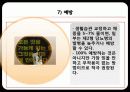 당뇨병(diabetes mellitus) 24페이지