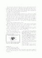 세계화와 fta 8페이지