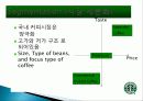 스타벅스 마케팅, 성공사례, 요인, 시장환경 분석, 경영전략, 변화, STP전략, 마케팅 믹스, 특징, 현황, 사례, 역할, 전략, 시사점, 나아갈 방향, 조사분석 7페이지