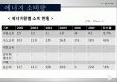 신 재생 에너지 카타르 프로젝트 5페이지