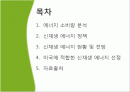 신 재생 에너지 미국 프로젝트 2페이지