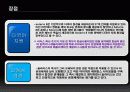 운영체제 종류 조사 프로젝트 10페이지
