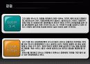 운영체제 종류 조사 프로젝트 11페이지