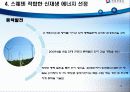 신 재생 에너지 스웨덴 프로젝트 12페이지