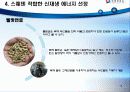 신 재생 에너지 스웨덴 프로젝트 13페이지