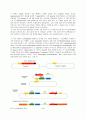 졸업논문 Agrobacterium tumefaciens를 이용한 식물 형질전환방법과 그 기작  4페이지