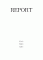 트랜지스터란 4페이지