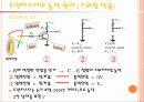 [레포트]트랜지스터와 LED의 동작원리와 종류  11페이지