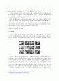 사회심리학-행태주의 보고서 25페이지