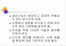 스포츠잠수 4페이지