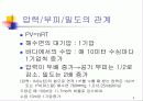 스포츠잠수 9페이지