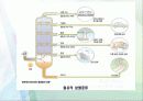 유기화학 유기실험 증류 - Distillation (증류) 8페이지
