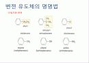 유기화학 벤젠링 치환  4페이지